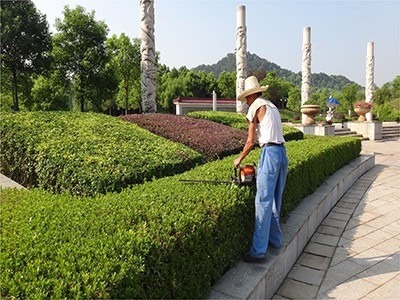 韶關(guān)市專(zhuān)業(yè)園林綠化 從草坪養(yǎng)護(hù)到綠化工程的全方位服務(wù)