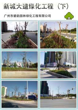 增城新城大道綠化工程 提升城市形象，筑就綠色長(zhǎng)廊