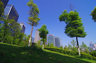 福建園林綠化工程招標(biāo)新規(guī) 景觀工程迎來(lái)規(guī)范與綠色新篇章